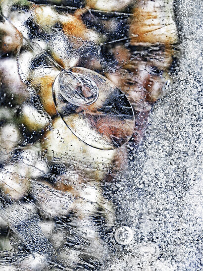 The Underneath - a Photographic Art Artowrk by Pyry Luminen - Snowfall